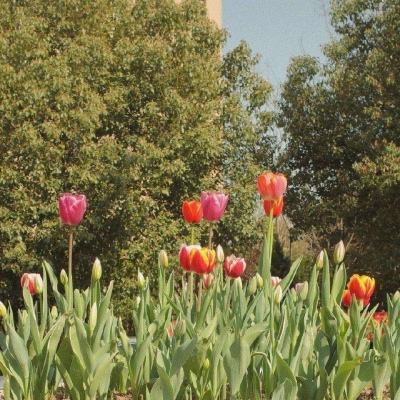 大发彩票官方官方平台app